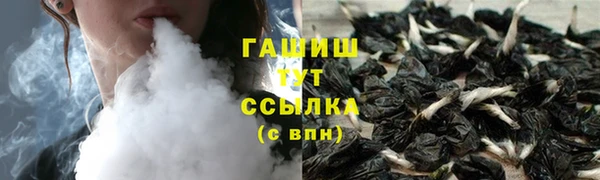 прущие грибы Гусиноозёрск