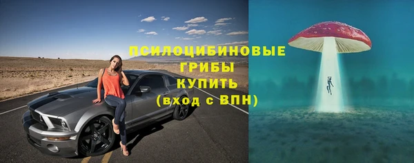 экстази Гусев