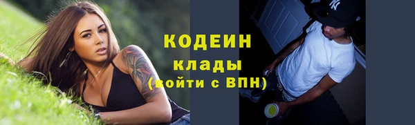 прущие грибы Гусиноозёрск