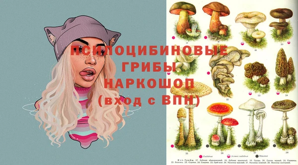 экстази Гусев