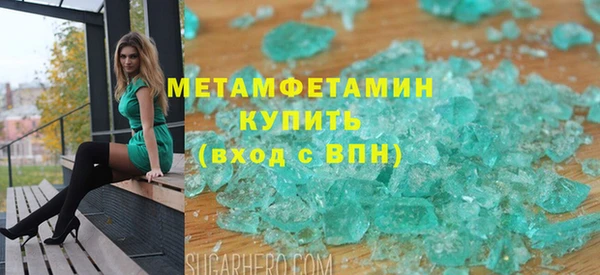 прущие грибы Гусиноозёрск
